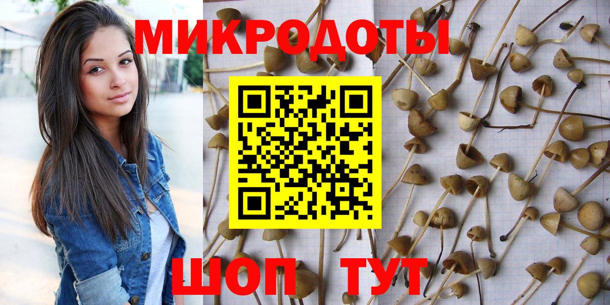 Галлюциногенные грибы Cubensis Анжеро-Судженск