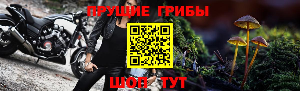 Анжеро-Судженск  Галлюциногенные грибы прущие грибы  Вход с VPN 